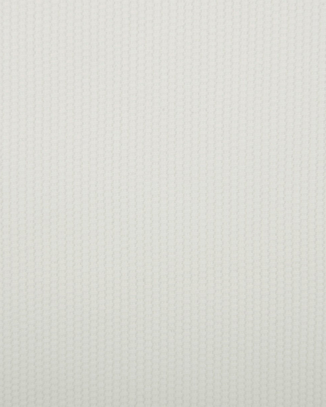 Off-White Cotton Canvas