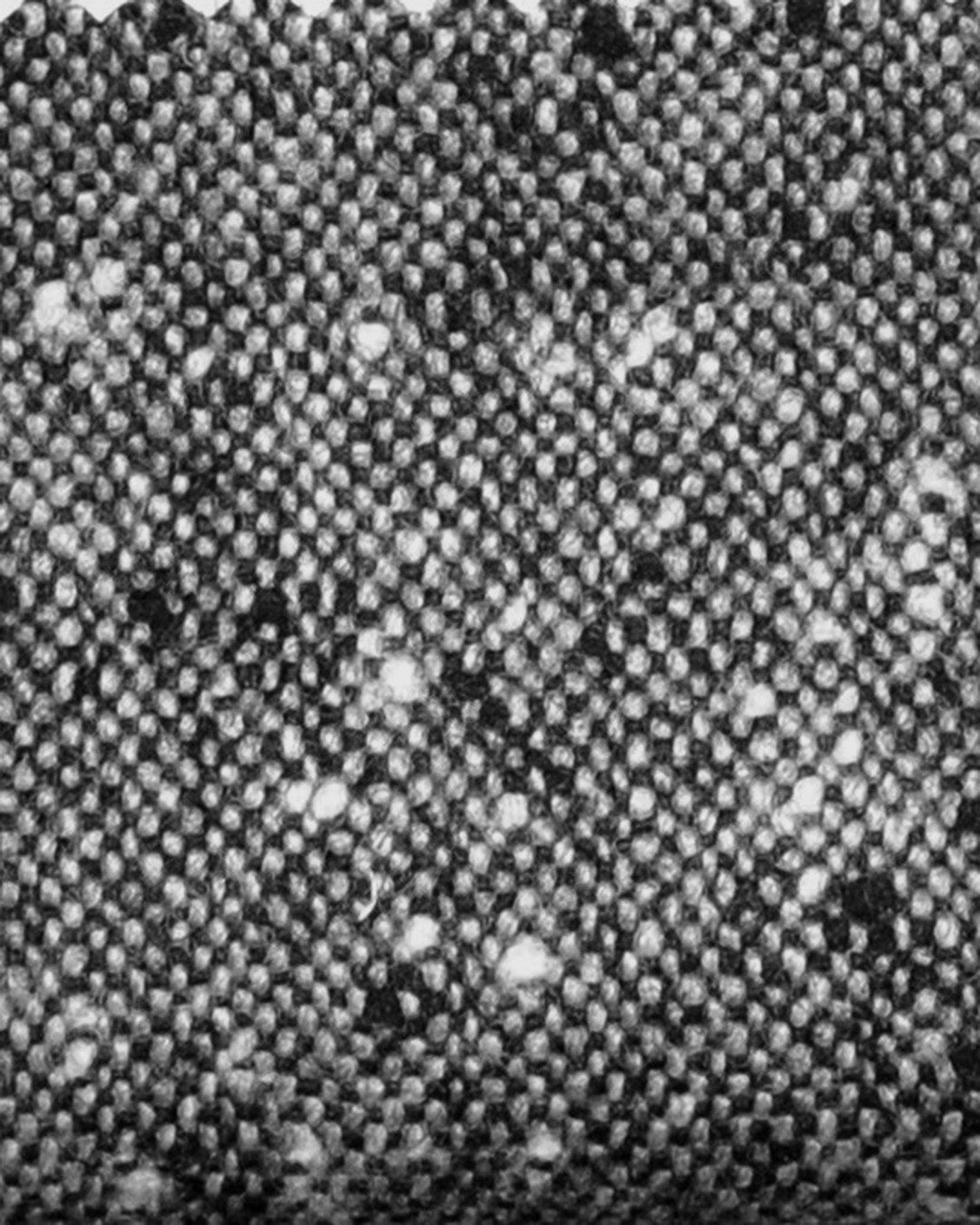 Holland & Sherry Tweed Wool Black & White Point Tweed