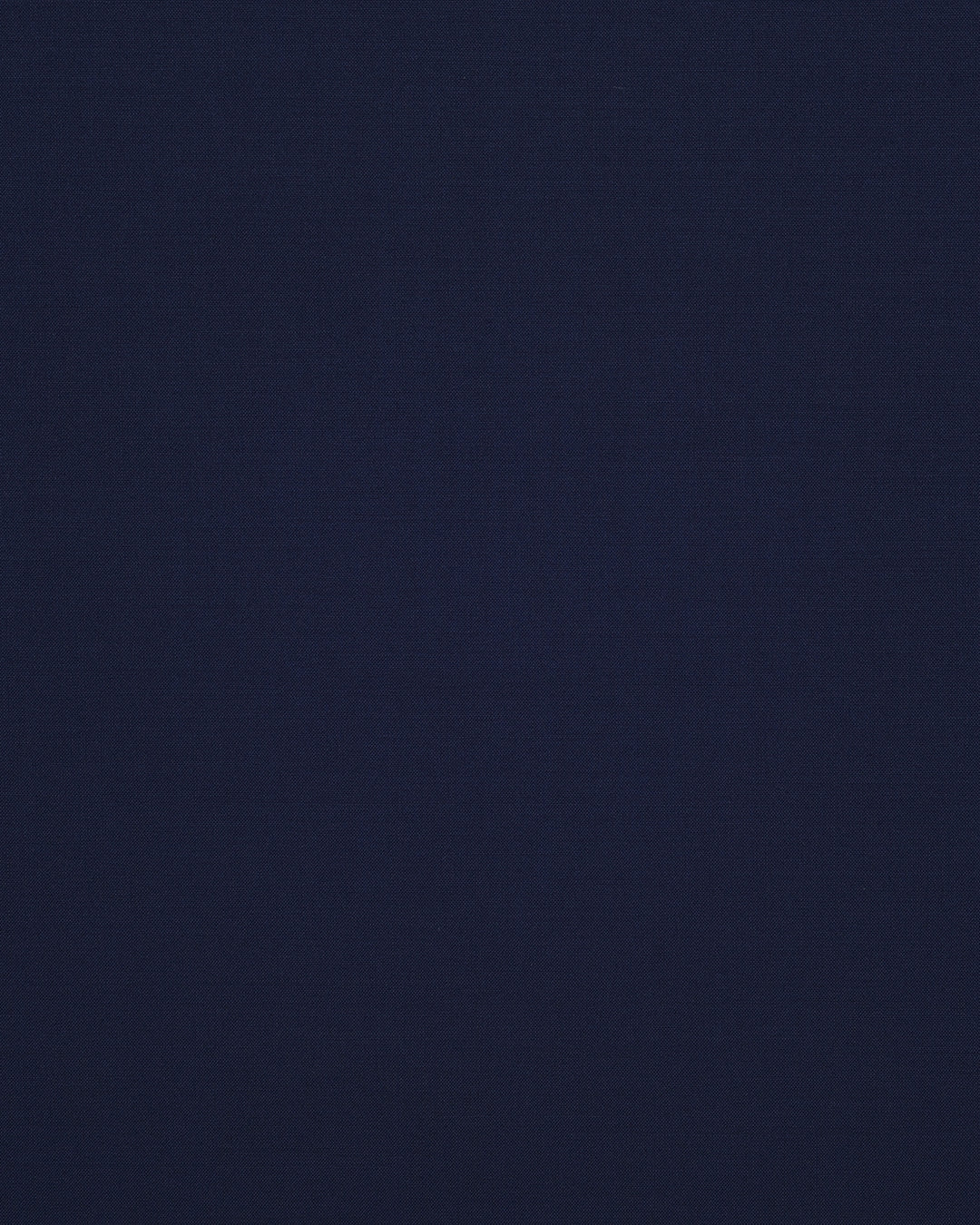 Vitale Barberis Canonico - 120s 2 Ply Blueberry