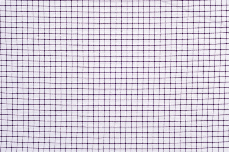 Summer Oxford: Purple White Checks