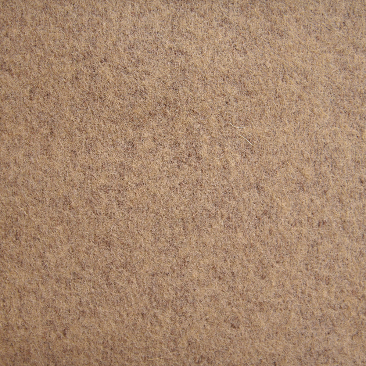 Camel Wool Jeans - 9