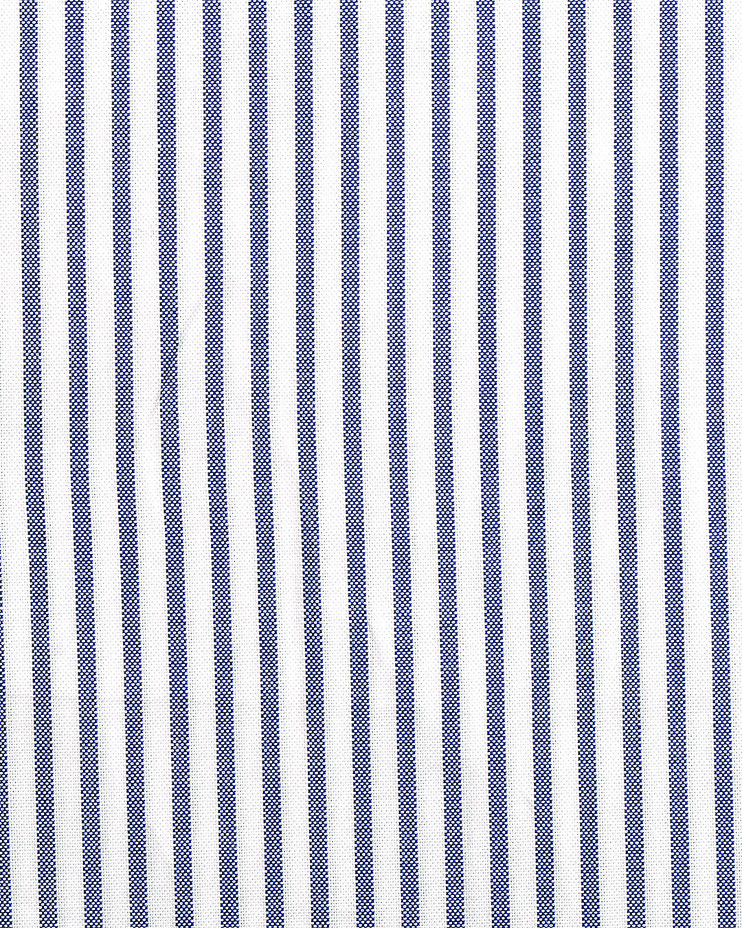 Navy Candy Stripes Pinpoint oxford Shirt - 4