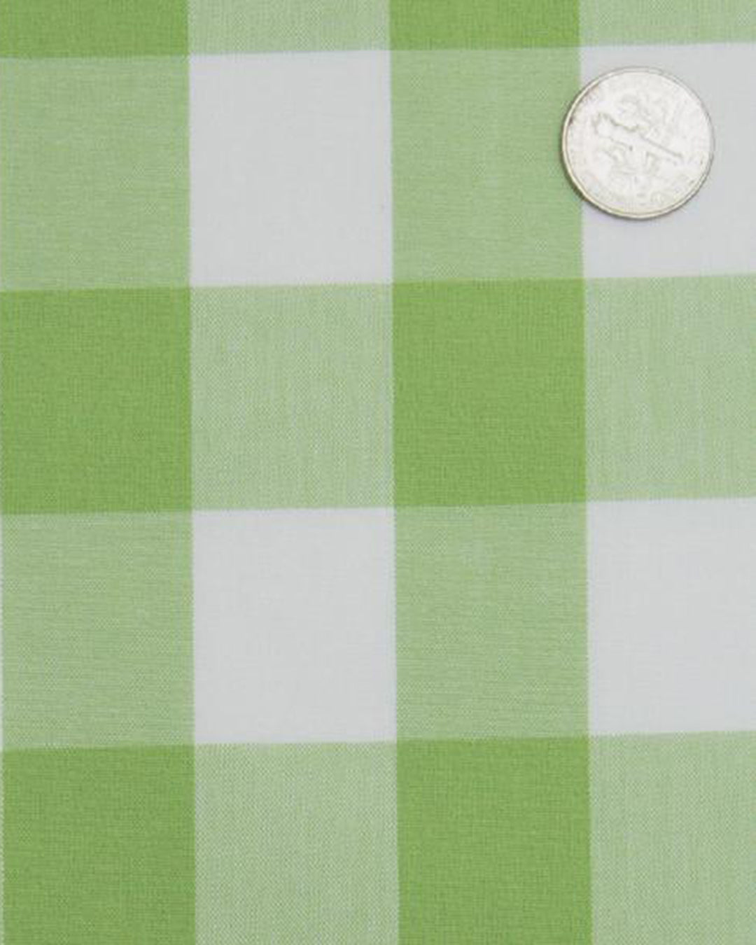 Light Apple Green Windowpane Checks - 4