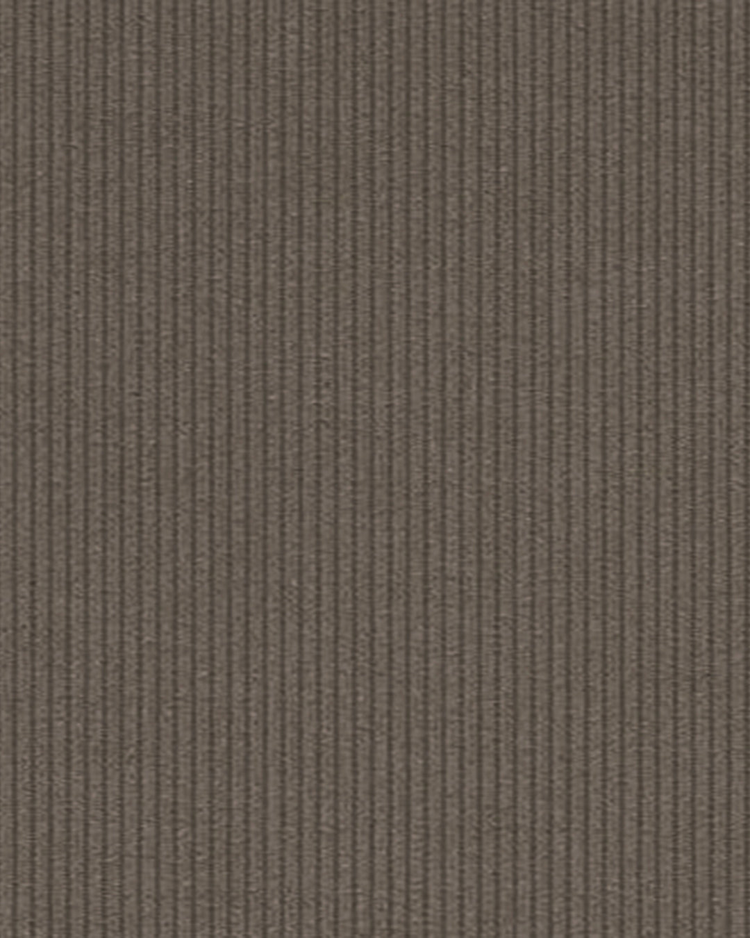 Brisbane Moss Beige Needlecord