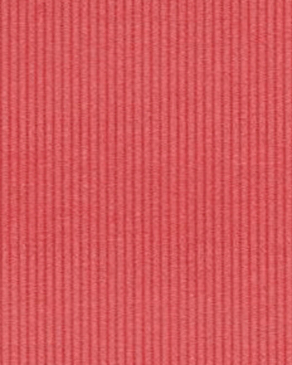 Brisbane Moss Coral Needlecord