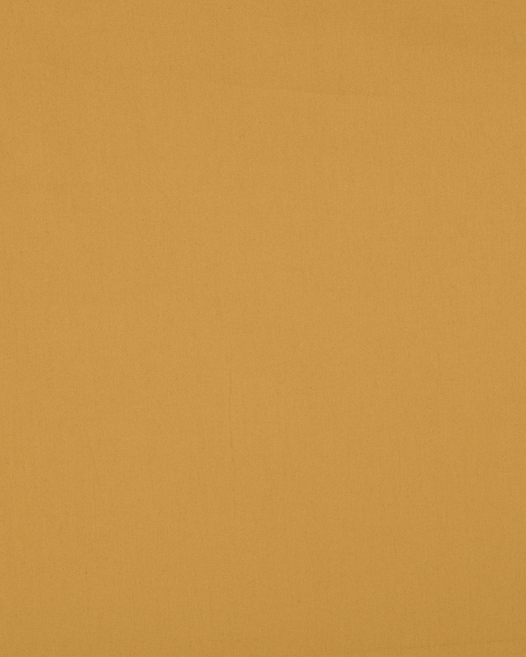 Golden Mustard Cotton Pant - 6