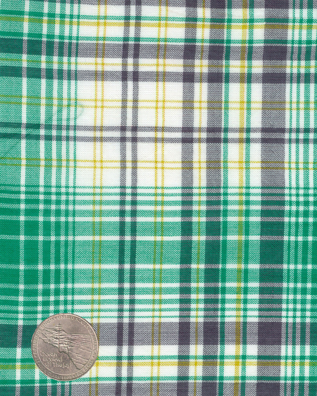 Summer Light Green Grey Madras - 4