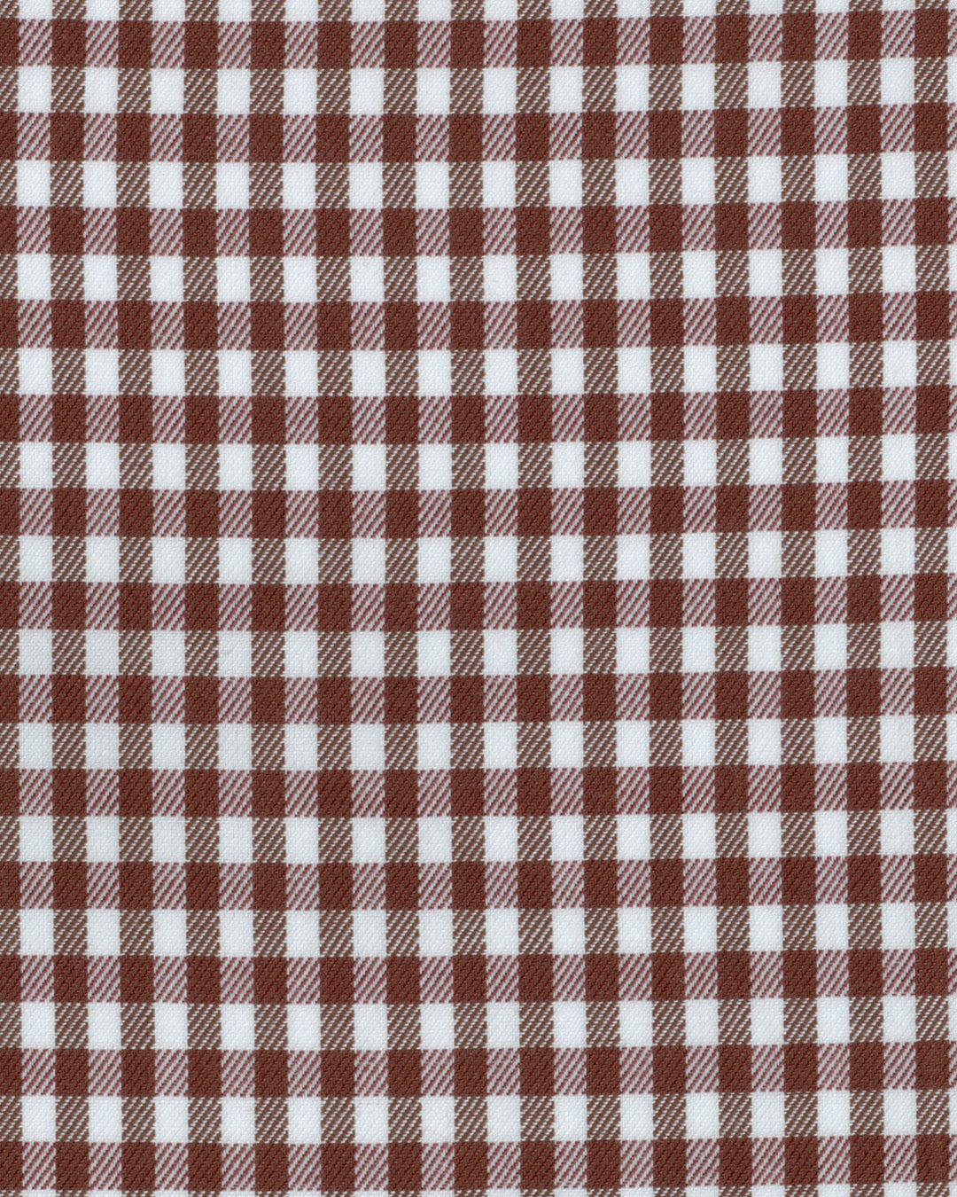 Brown Shepherd Check - 4