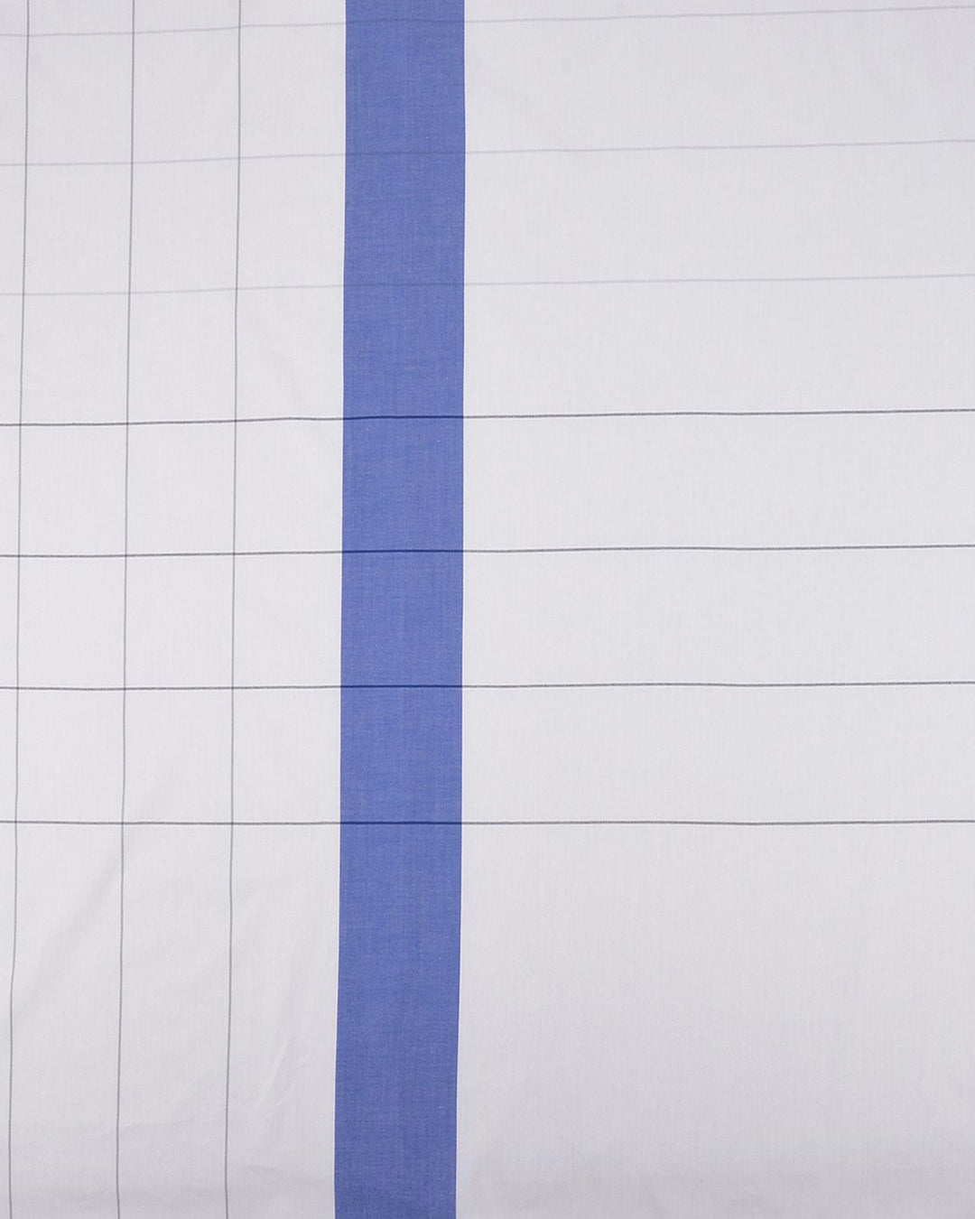 Windowpane Checks With Blue Wide Stripe - 1