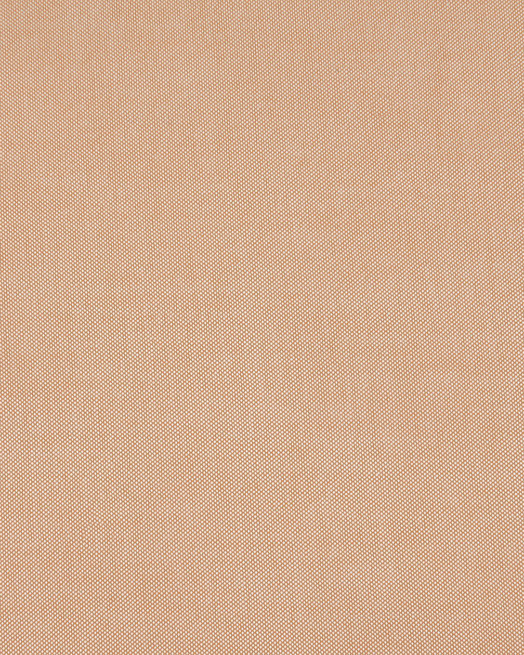 Classic Orange Oxford