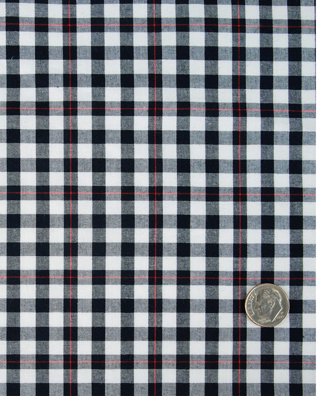 Red Pinstripes On Black Gingham Shirt - 4