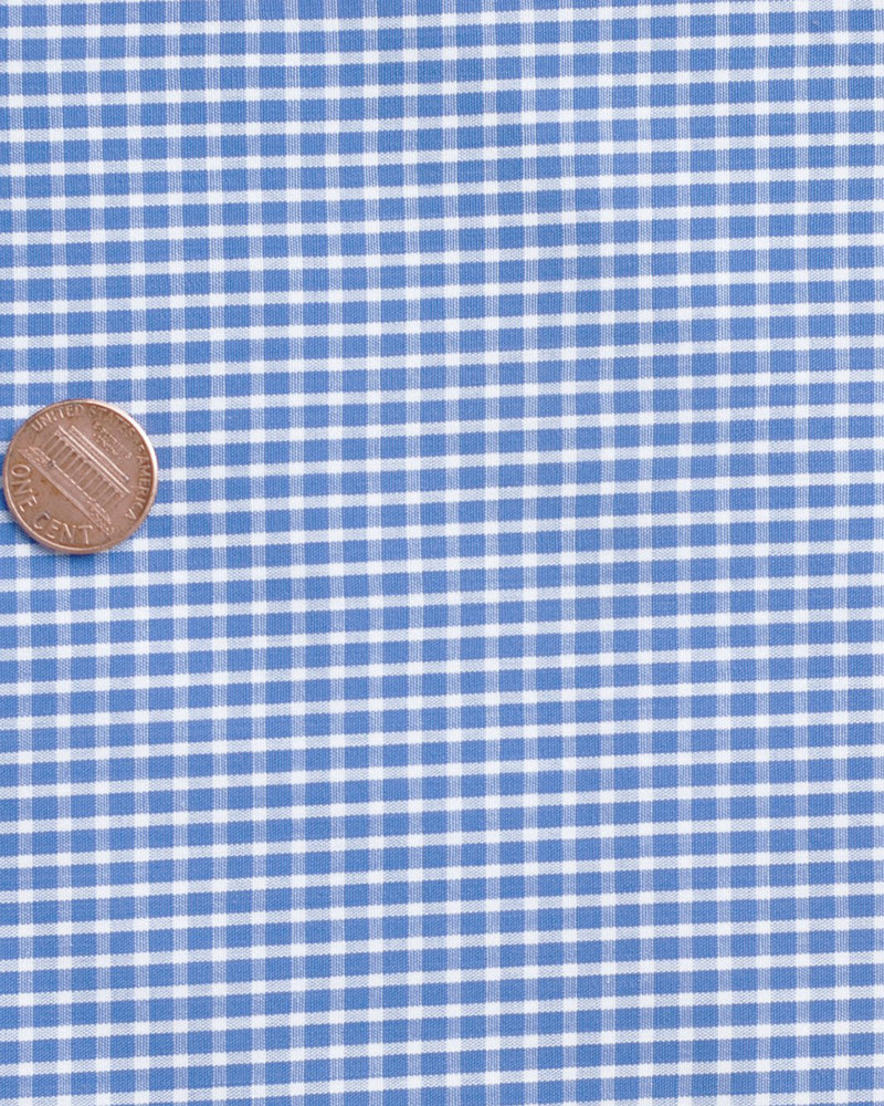 Easy-to-Iron White Blue Graph Checks