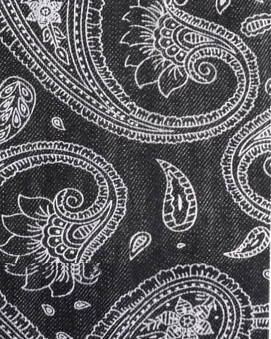 Paisley Denim Wabash - 4